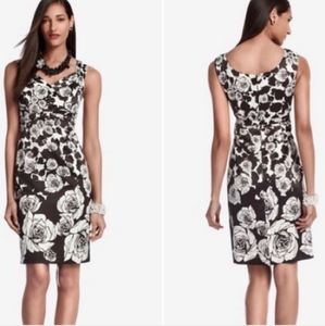 WHBM Silky Black and White Rose Print Wiggle Dress Size XS